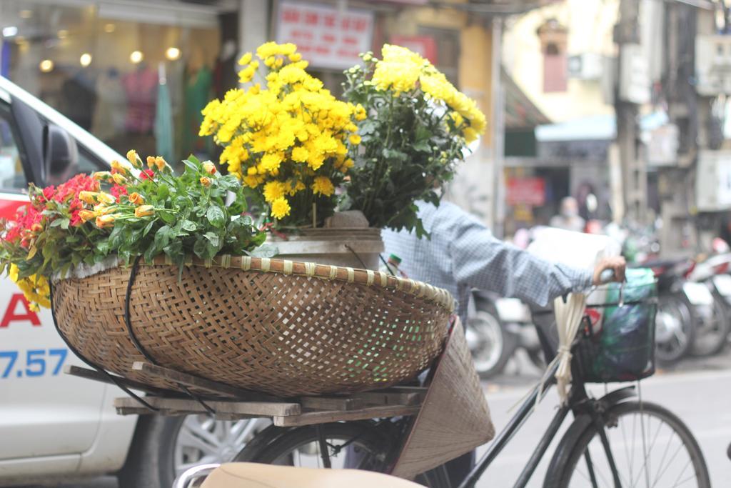 Hanoi Caballos Hotel Extérieur photo