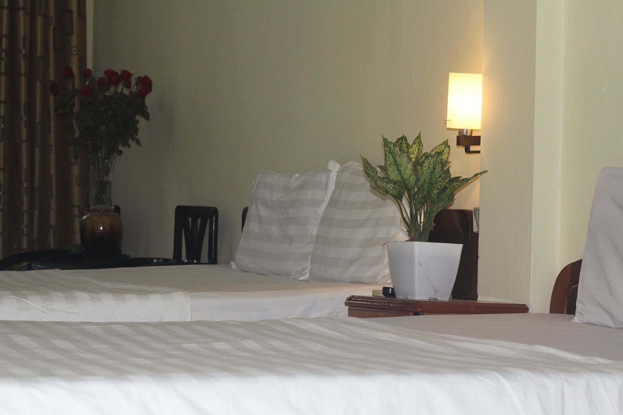 Hanoi Caballos Hotel Extérieur photo